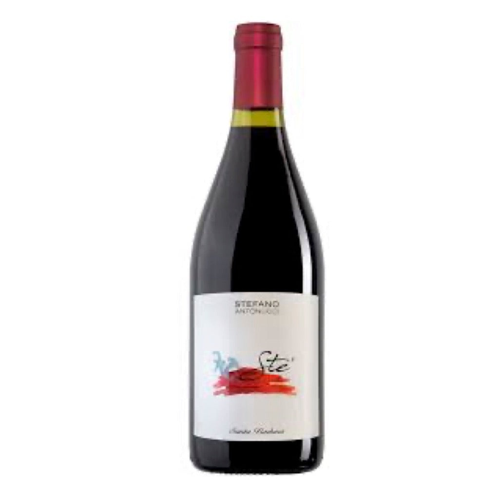 Santa Barbara "Ste" Rosso Piceno 2023