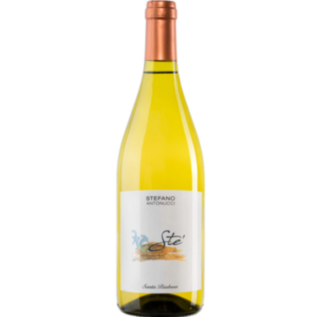 Santa Barbara &quot;Ste&quot; Verdicchio dei Castelli di Jesi 2023